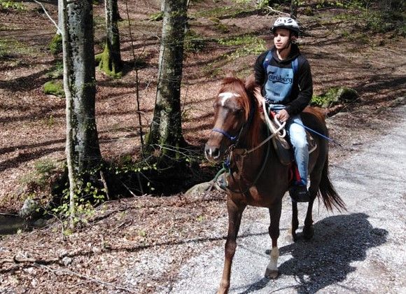Equitazione Slow Horse Italia Formazione, sport, coaching e crescita personale... a cavallo - foto 4